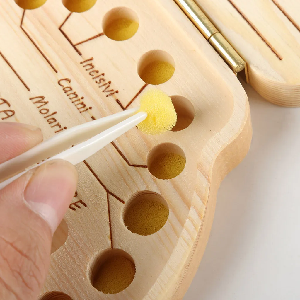 Английская версия дети зуб поле организатор детские сохранить молочные зубы