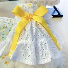 Милое белое ажурное платье для девушек и собак, цветочное мини-платье, одежда для маленьких собак на весну и лето, дышащие платья для кошек