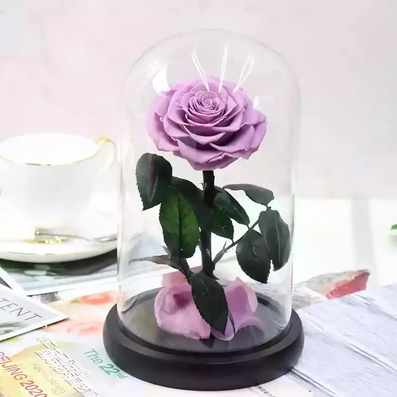 Light purple 11 цветов, Красавица и чудовище, красная Праздничная Роза в стеклянном куполе, свежие цветы на День святого Валентина, подарок на Рождество - Цвет: Light purple