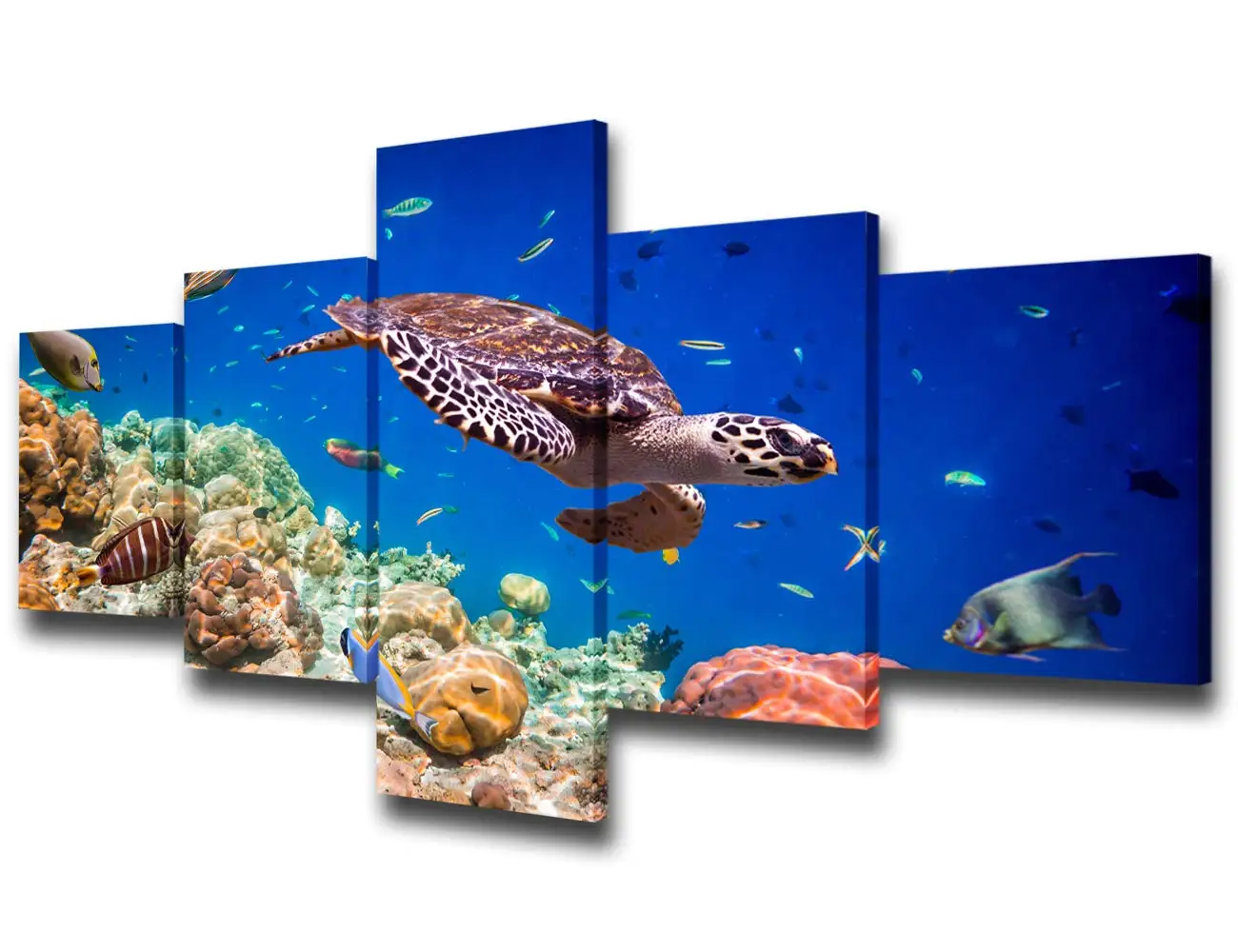 5 панелей риф холст настенное искусство подводный мир художественное оформление