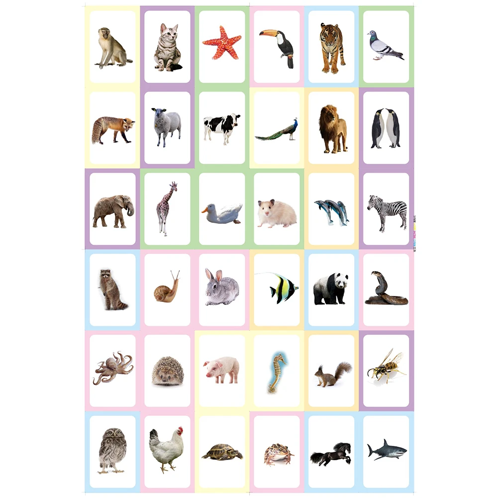 

36Pcs/Set Cartoon Animal Color English Print Flash Paper Card Education Baby Toy kindergarten Primary school supplies