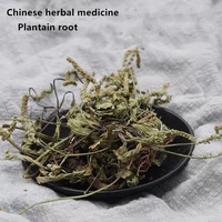 high quality natural chinese medicine plantain chips plantain root weight loss containing high in minerals plantago lanceolata