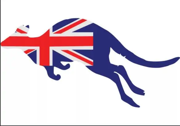 

communism kangaroo artwork flag 3ftx5ft Banner 100D Polyester Flag with Australian banner