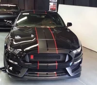 for mustang 2 color 5 twin rally stripes stripe graphics decals