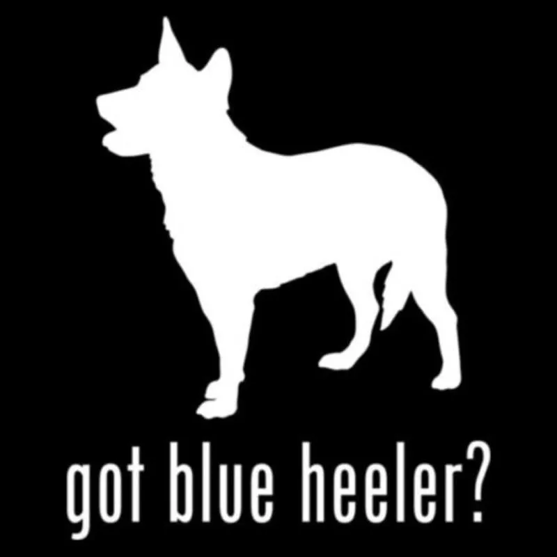 Got Blue Heeler Herding Dog для авто автомобиля/бампера/окна виниловая наклейка наклейки DIY