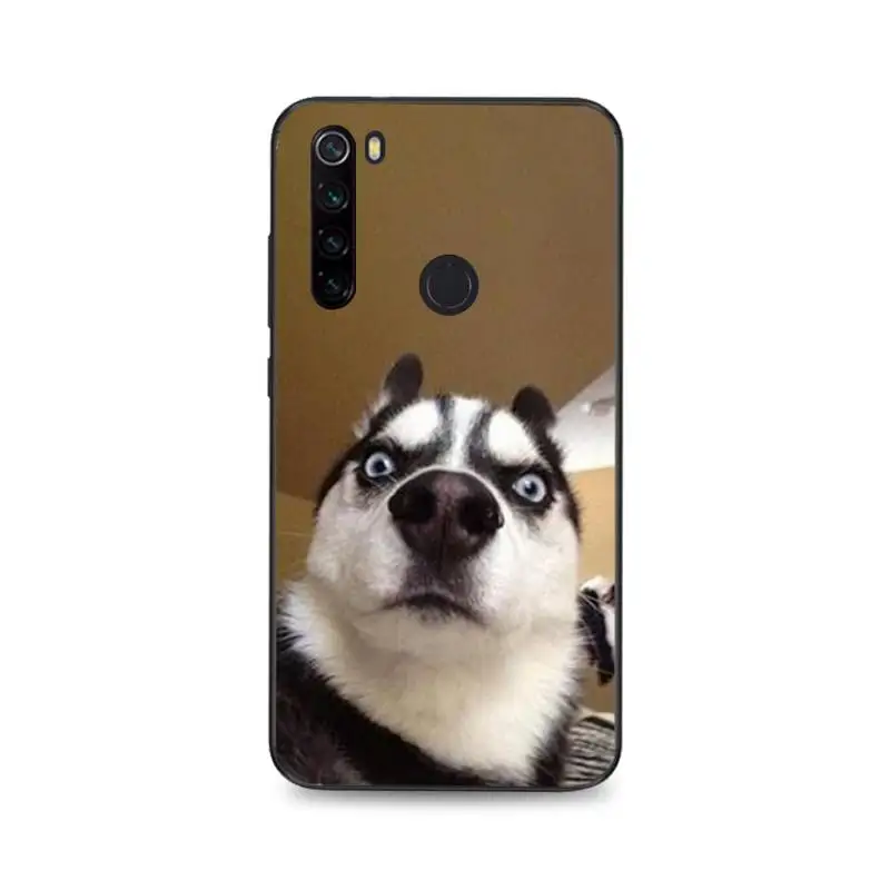 Чехол для телефона MaiYaCa Animal Husky cute Puppy Dog Customer высокого качества Xiaomi Redmi 4X 5A 6A 6 7 8 S2