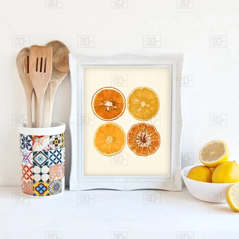 Оранжевый цитрусовый художественный принт античный ботанический фрукт