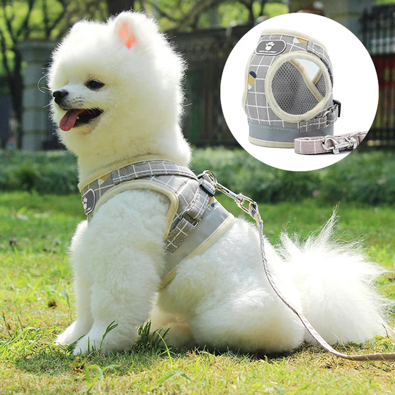 Шлейка с поводком для собак и кошек регулируемая дышащая в клетку | Дом сад