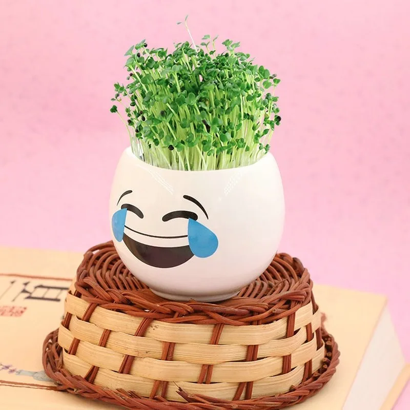 

Cute White Porcelain Potted Diy Long Grass Head Doll Cartoon Doll Meat Cartoon Student Gift Micro Landscape