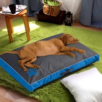 paw waterproof pet mat dog bed summer thicken cooling dog beds educational mat for dogs accessoires warm clothes for dogs home