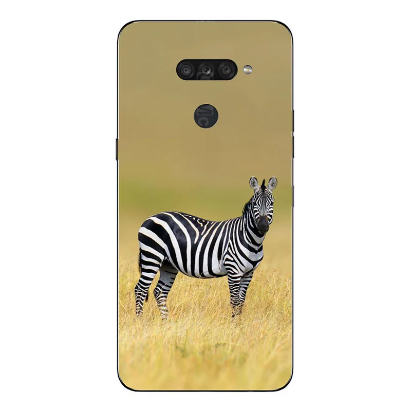 

Patterned Case For LG K50S K 50S 6.5 inch Back Cover Flower Bear Cat Dog Printed Penguin Butterfly Animal Soft TPU Phone Case