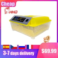 automatic egg incubators china yz8 48 fully hatchery machine mini 48 chicken sale auto turn for duck pigeon quail parrot