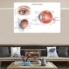 Анатомическая диаграмма, анатомическая диаграмма человеческого глаза, художественная пленка, печатный плакат, домашний декор стен