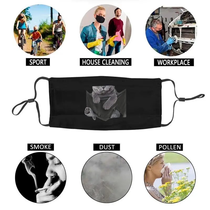 

British Blue Cat Sits In Pocket Mask Anti Dust Reusable British Shorthair Face Mask Protection Cover Men Respirator Mouth-Muffle