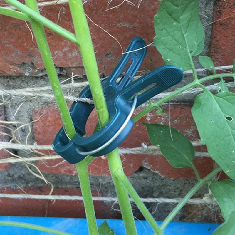 

40Pcs Plastic Plant Support Clips for Tomato Hanging Trellis Vine Connects Plants Greenhouse Vegetables Flower Garden Ornament .