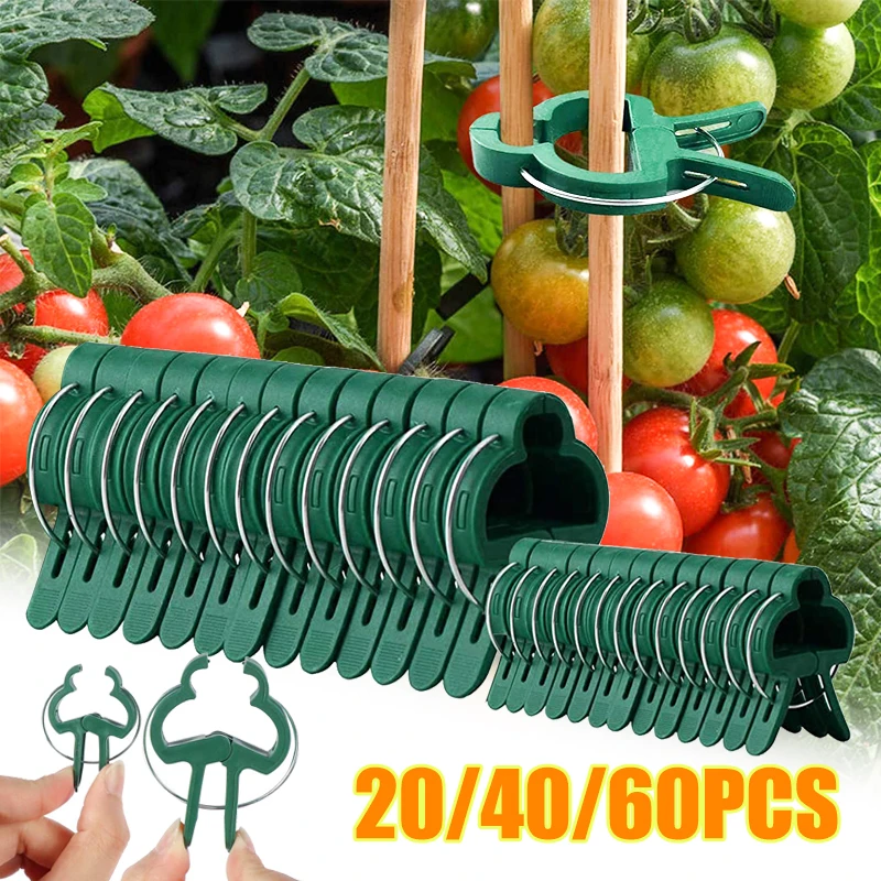 

20/40/60Pcs Fastener Greenhouse Bracket Pole Fixed Clamp Plants Flower Seedling Stem Support Grafting Stakes Connector Clip
