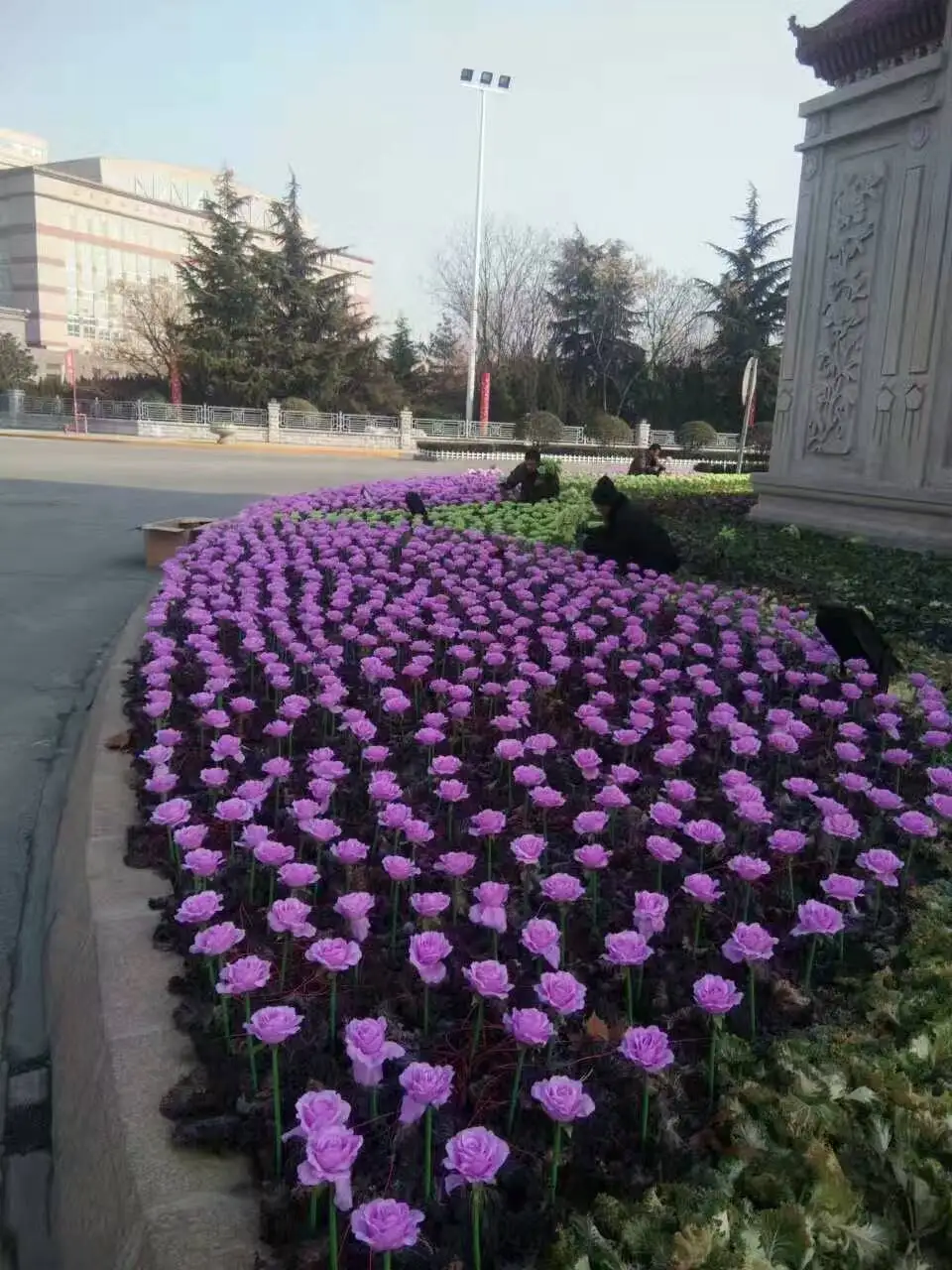 Фиолетовый Светодиодный фонарь с цветными розовыми цветами, светодиодный фонарь мечты, открытый квадратный ландшафтный парк, светящиеся Праздничные огни 20 шт./компл - Цвет: Фиолетовый