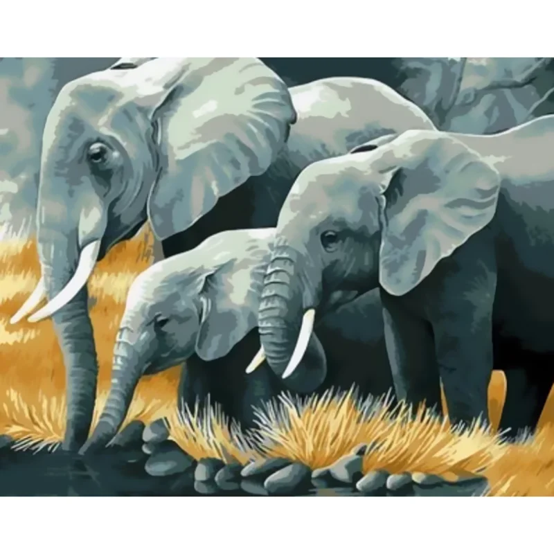 

DIY digital painting picture elephant hand-painted oil painting gift canvas painting and digital home decoration