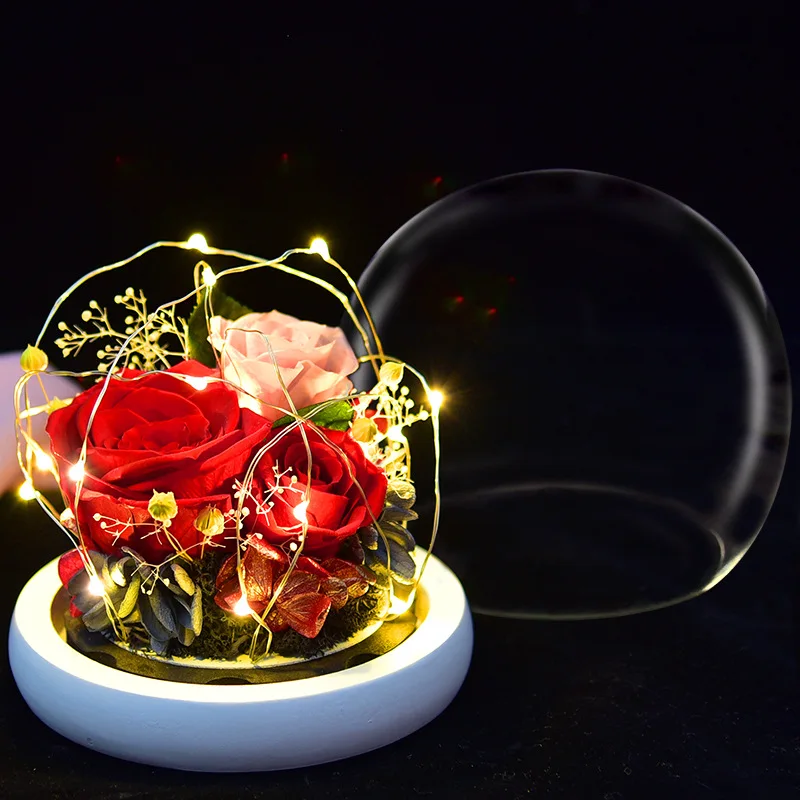 

Mother Day Present Dried Flowers The Beauty and Beast Eternal Real Rose Home Decor with LED In Glass Dome Valentine Christmas We