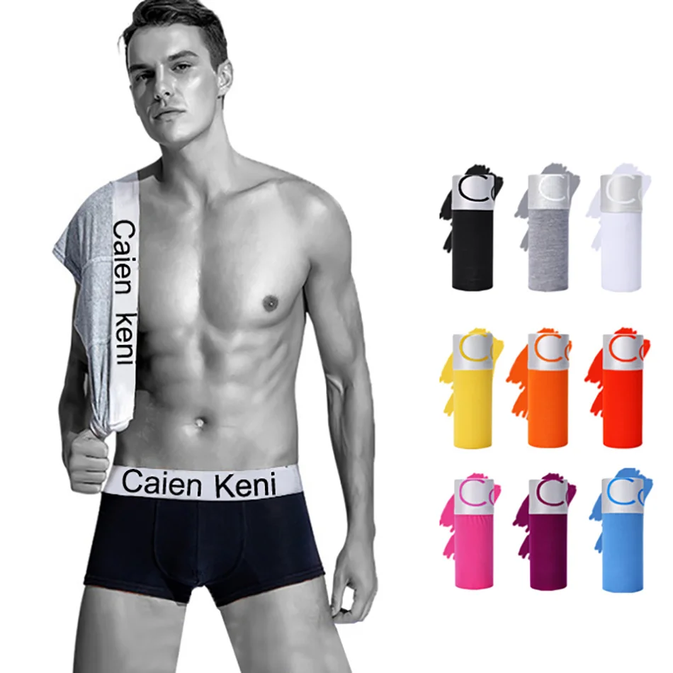 

4pc/lot Mens Underpants Brand Boxers Underwear Men Cotton Boxer Homme Man Underwear Gay Boxershort Men Cueca Shorts Men