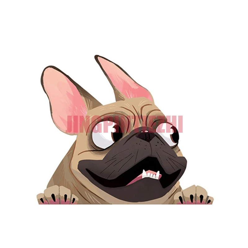 

Наклейка на автомобиль, оригинальная наклейка, французская наклейка на животное, наклейка на автомобиль с рисунком животного, водонепроницаемый бампер