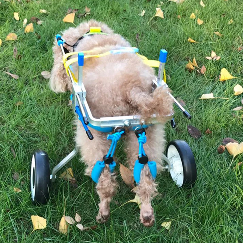 Прогулочные колеса для собак прогулочная коляска реабилитация тренировочная