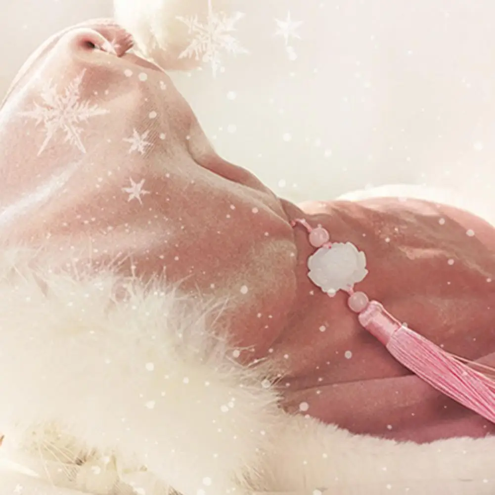 

Одежда для домашних животных, легко носить костюм для домашних животных, костюм-пончо, накидка с шляпой