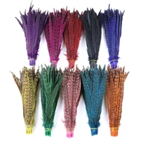female ringneck tail pheasant feathers 10 12 inch dyed craft plumes wedding home party decoration natural plume 10 pcs wholesale
