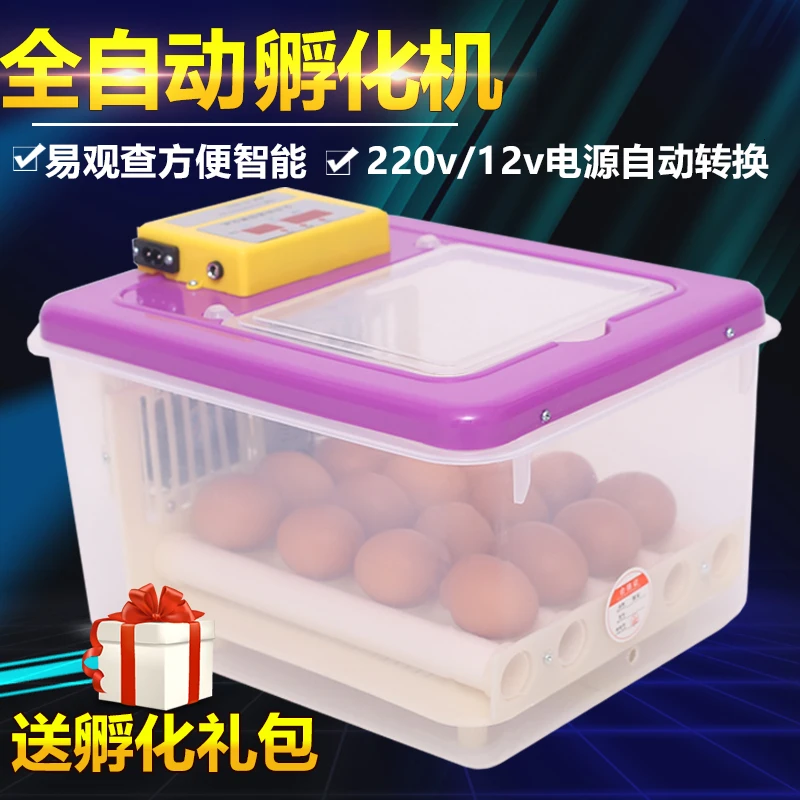 Инкубатор для яиц китайский прозрачный наблюдения различные лотки небольшой