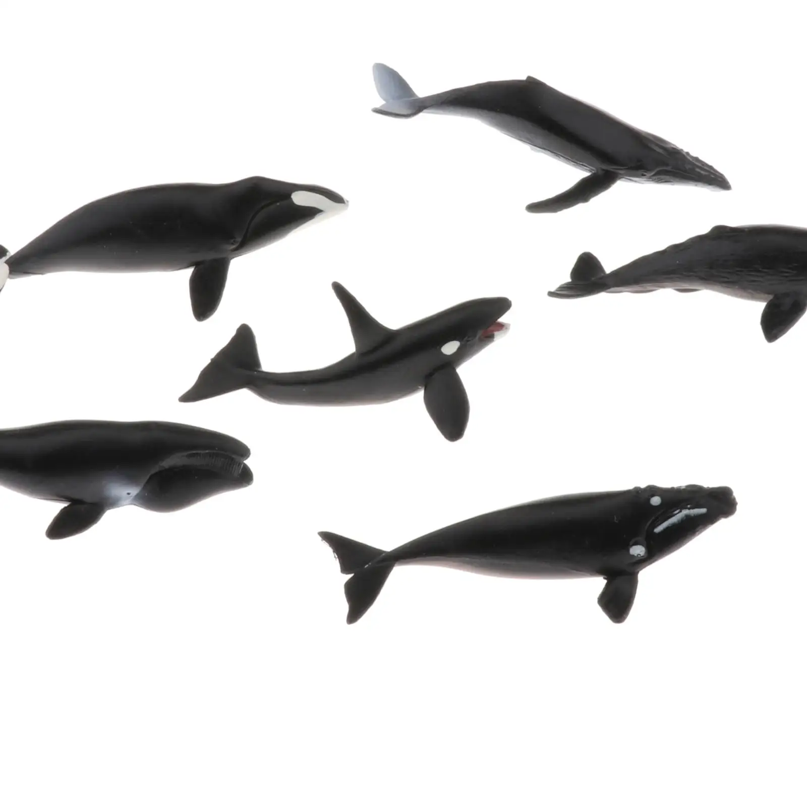 

6x Simulation Shark Whale Toy Animal Doll Model Children Toys Whale Figure Statues for Home Office Decor