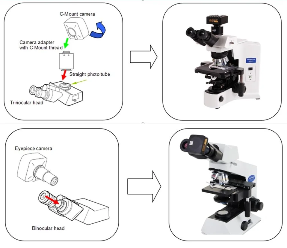

IMX183 Sensor 20M C-Mount USB3.0 CMOS Digital Microscope Camera / Astronomy / Machine Vision