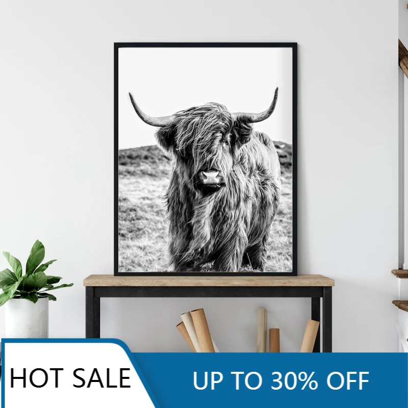 Животноводческая ферма Highland корова фотографии Wall Art Холст Картина Плакаты принты