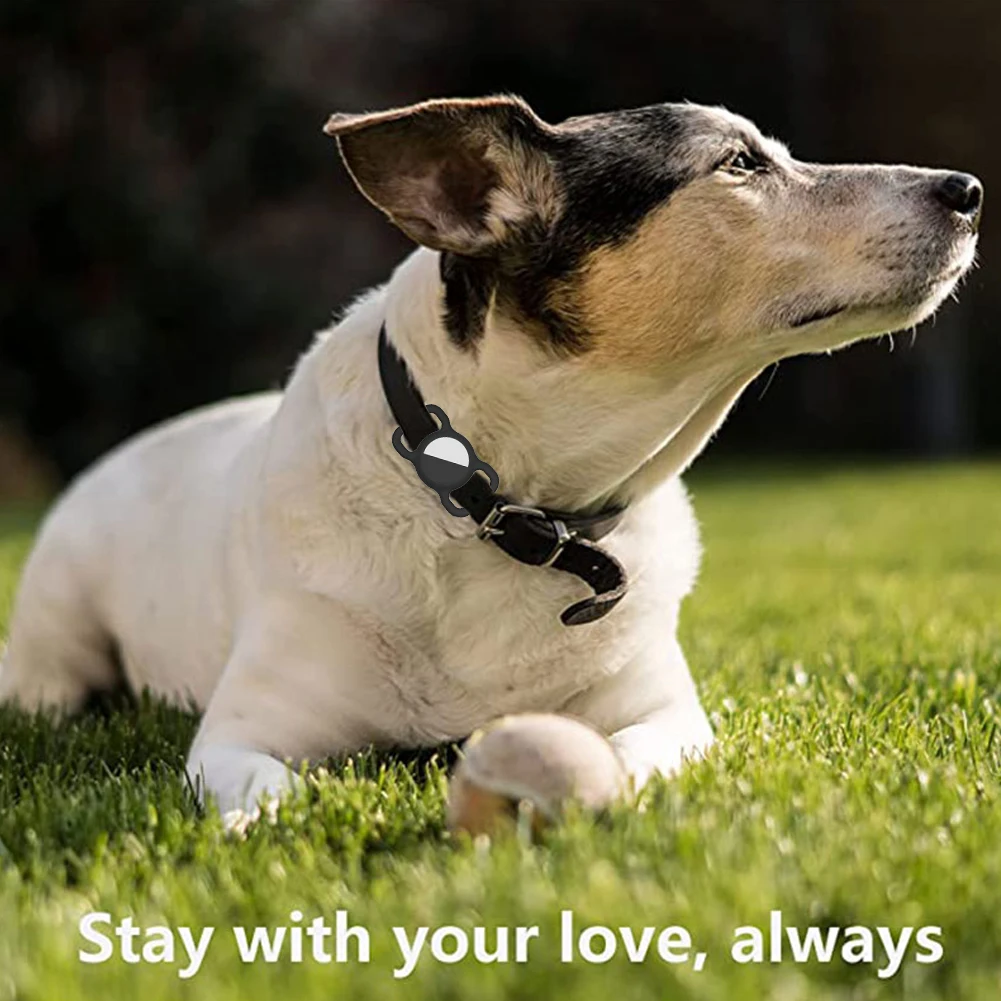 Silicone Case Cover for Air Tags Tracker Protector Pet Anti-Lost Dog Cat Collar Loop Protective Shell Tag | Электроника