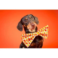 dachshund dog cloth silk canvas poster home decoration wall fabric poster custom print more size for bedroom and living room