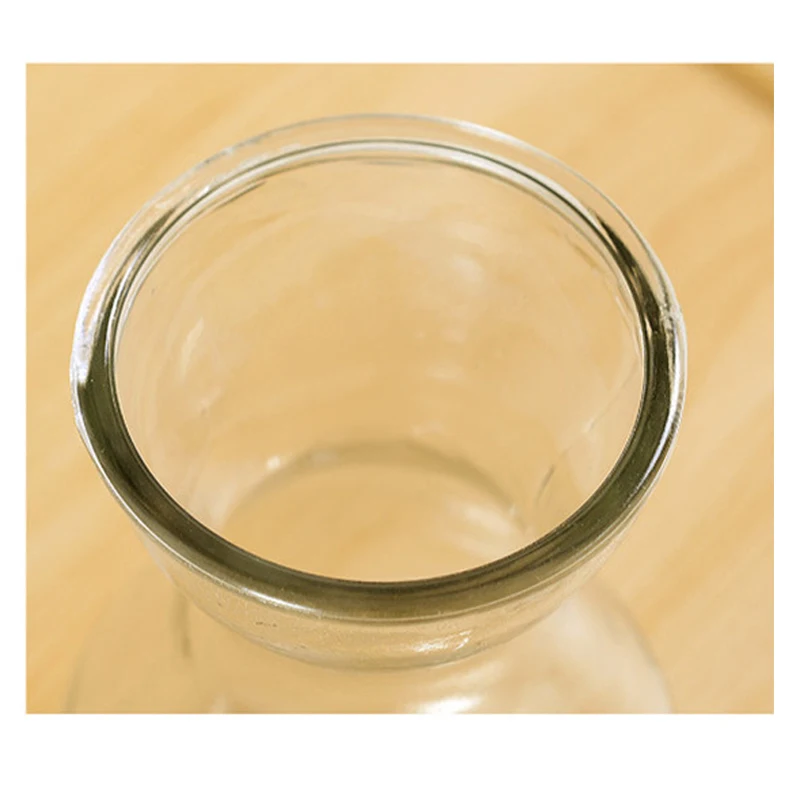 Стеклянная ваза креативная маленькая гидропонная стеклянная бутылка для