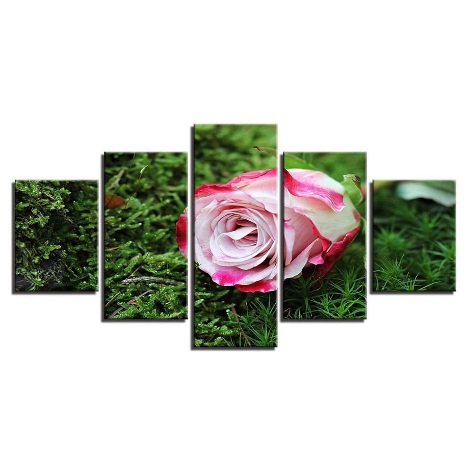 5 шт. розовый цветок розы зеленая трава модульная Картина на холсте плакат стены