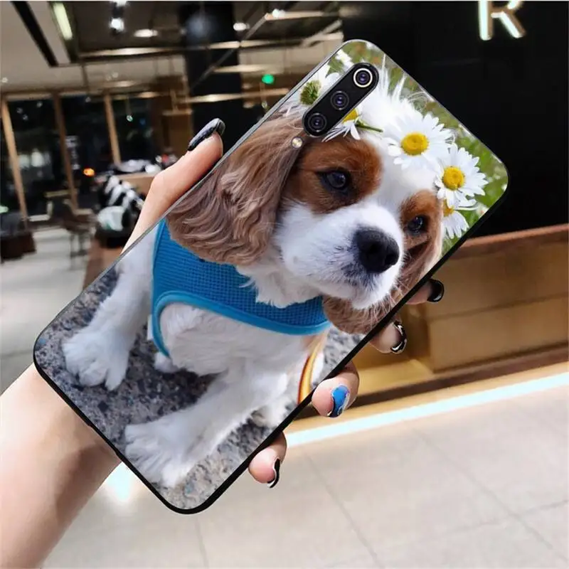 Чехол кавалер Кинг чарльз спаниель черный мягкий чехол для телефона Huawei Honor 30 20 10 9