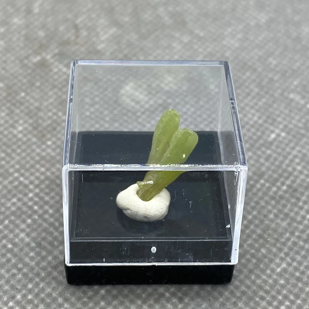 

Natural pyromorphite mineral espcime pedras e cristais coleo pedras preciosas quartzo do tamanho da caixa de china 25#