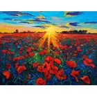 5D Diy Алмазная картина по номеру Poppy Fields Sunrise 