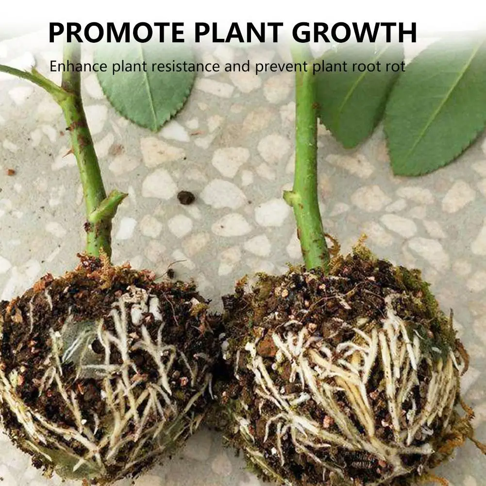 

Plant Rooting Device High Pressure Grafting Ball Boxes Growing Breeding Case Gardening Supplies