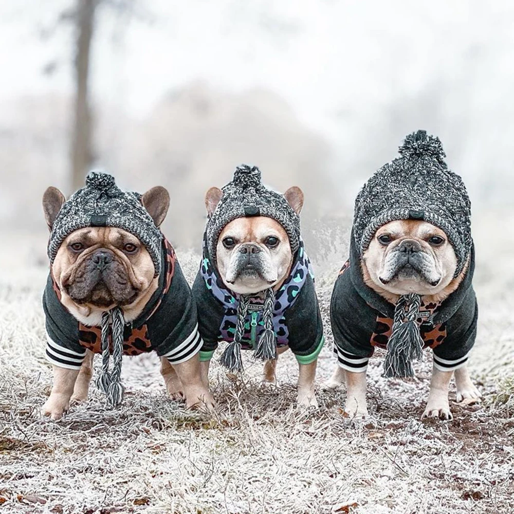 

Warm Pet Dog Knitted Hat Windproof Headwear For Winter Cat Hat Puppy Animals Pet Products Knitted Heagear New Year Costume2022