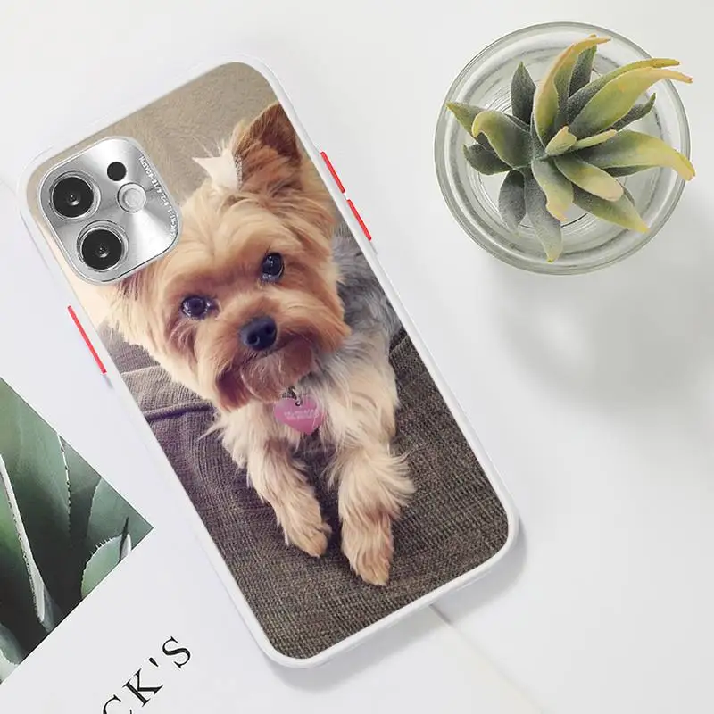 

Mini Yorkshire Terrier Dog Phone Case Clear matte transparent For white iPhone 7 8 x xs xr 11 12 pro plus max mini Funda