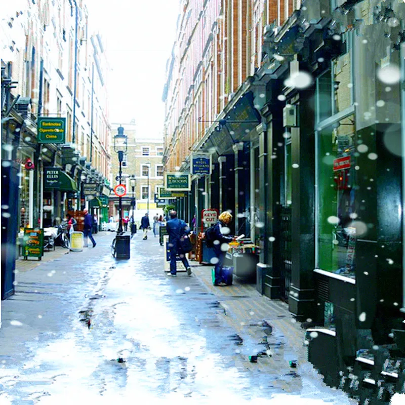 

20007 Diagoned Alley Building Blocks Kits Bricks Classic Movie Series Potter Model Kids DIY Toys For Children Gift 10217