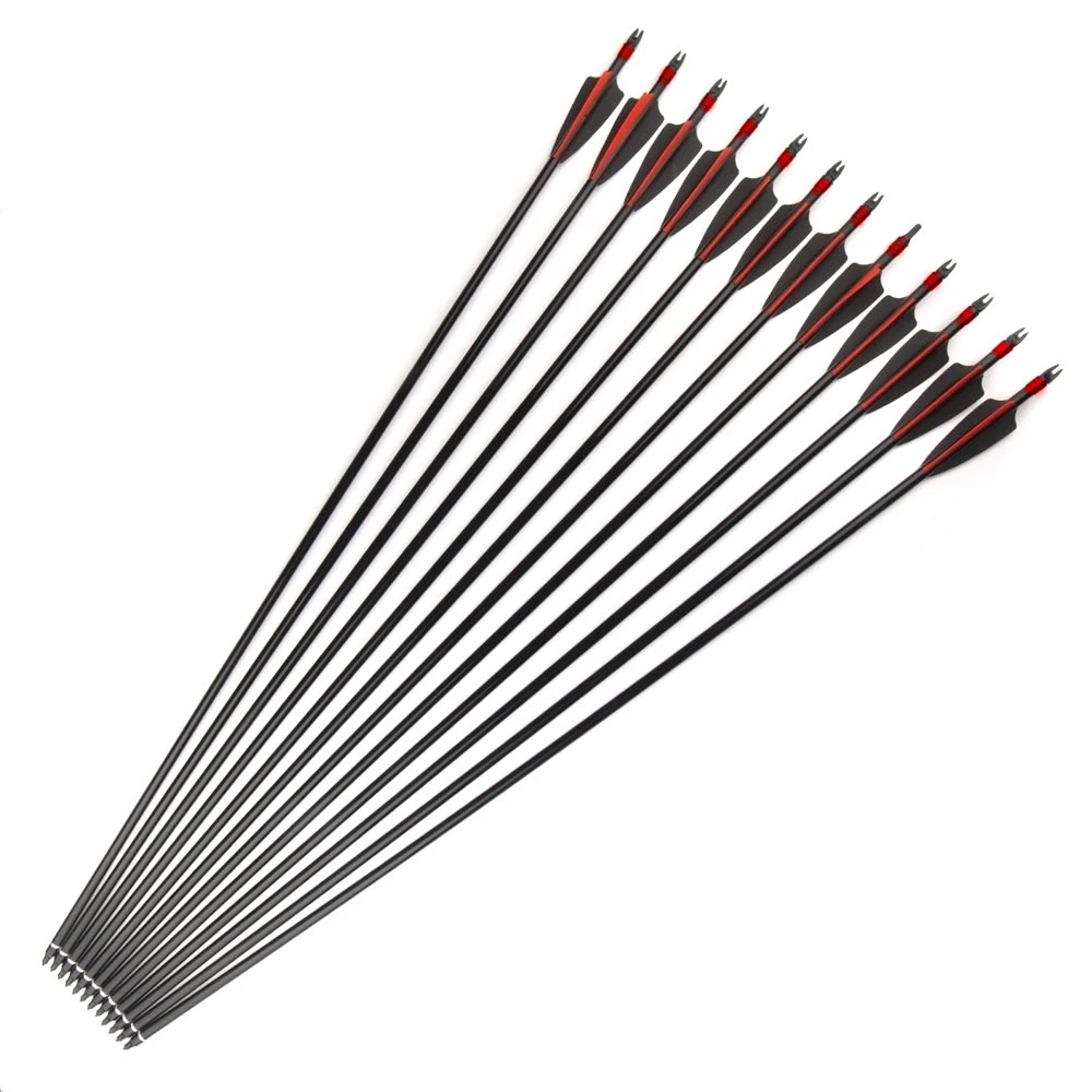

DE 30 inches Fiberglass Arrows Diameter 8mm Spine 500 with Explosion-proof for Compound Recurve Bow Archery Shooting