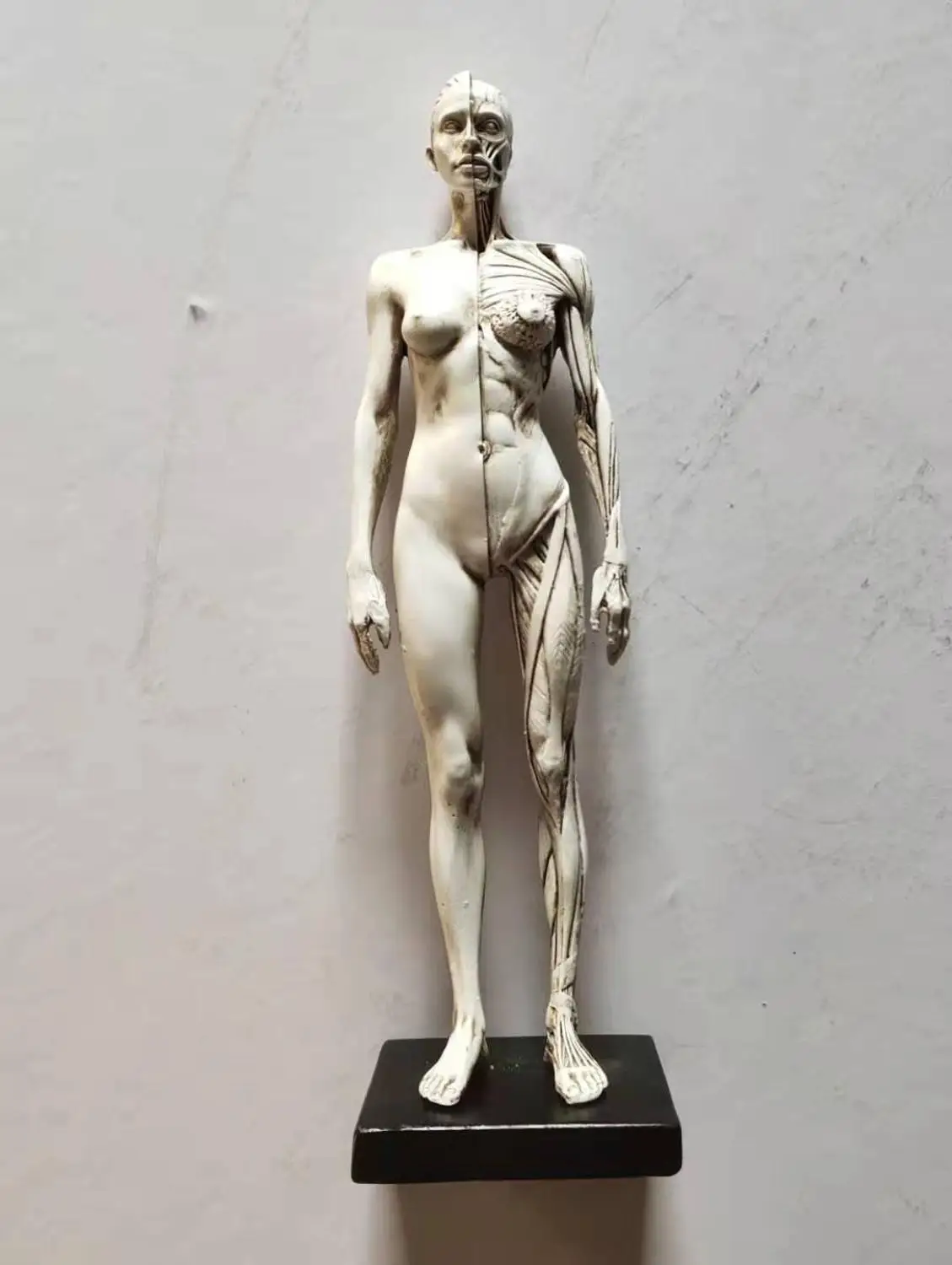 Женская статуя из смолы для мышц тела скульптура искусственная анатомия