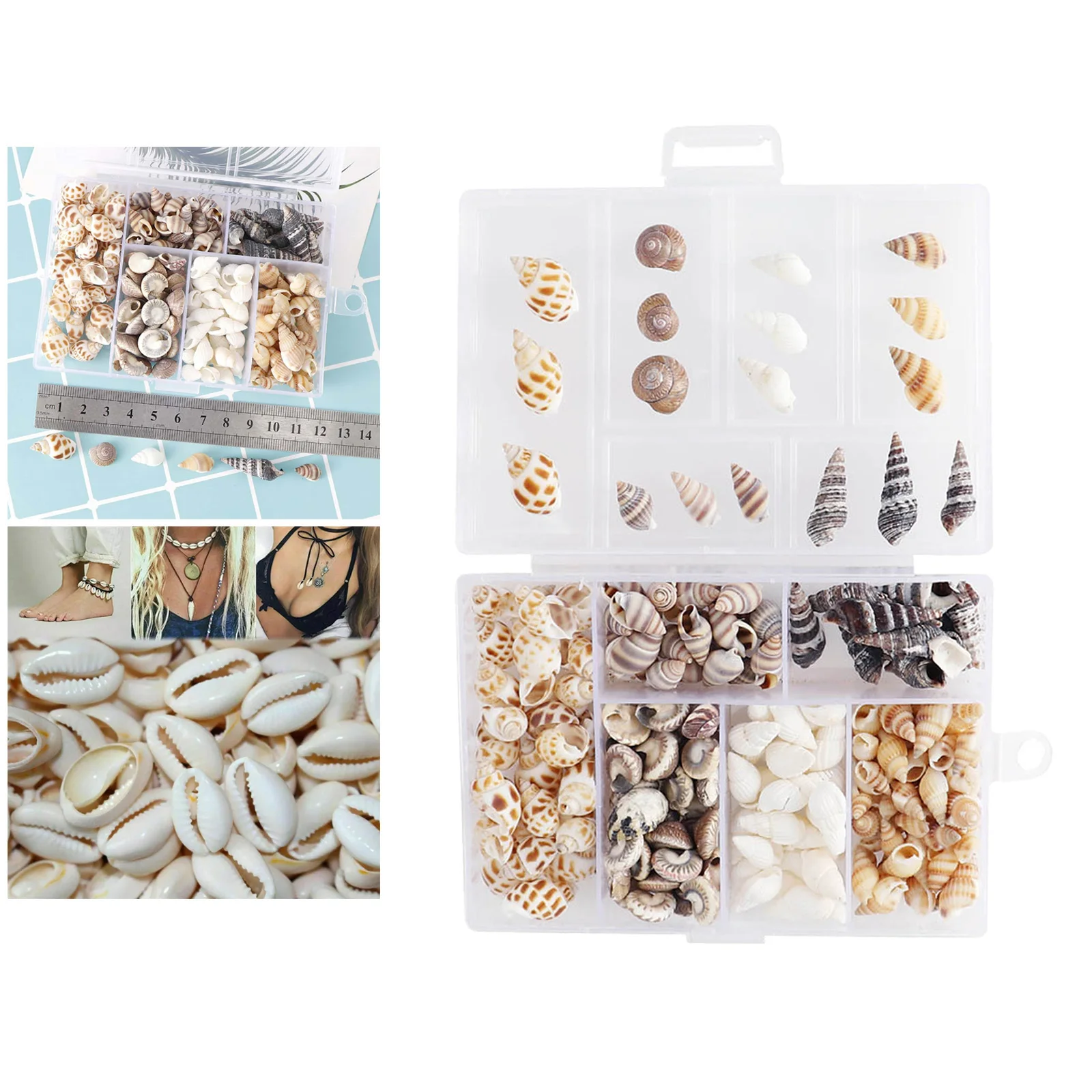 

100g Sea Shells Mixed Beach Seashell Home Accents for Candle Making Decor