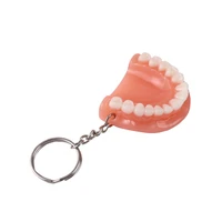 new fashion tooth key chain resin molar upper jaw model shape denture keychains pendant keyring dental clinic gift hot sale 2021