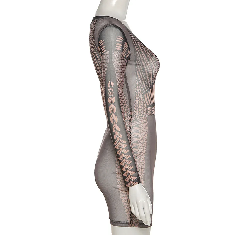 

Sexy See Through Mini Dresses Women Long Sleeve Evening Party Club Sheer Mesh Bodycon Dress Fashion Streetwear Outfit