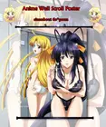 Популярный японский аниме старшая школа DXD ацено и Азия настенный постер прокрутка Декор для дома 60*90 см настенный постер Холст Картина висящий свиток