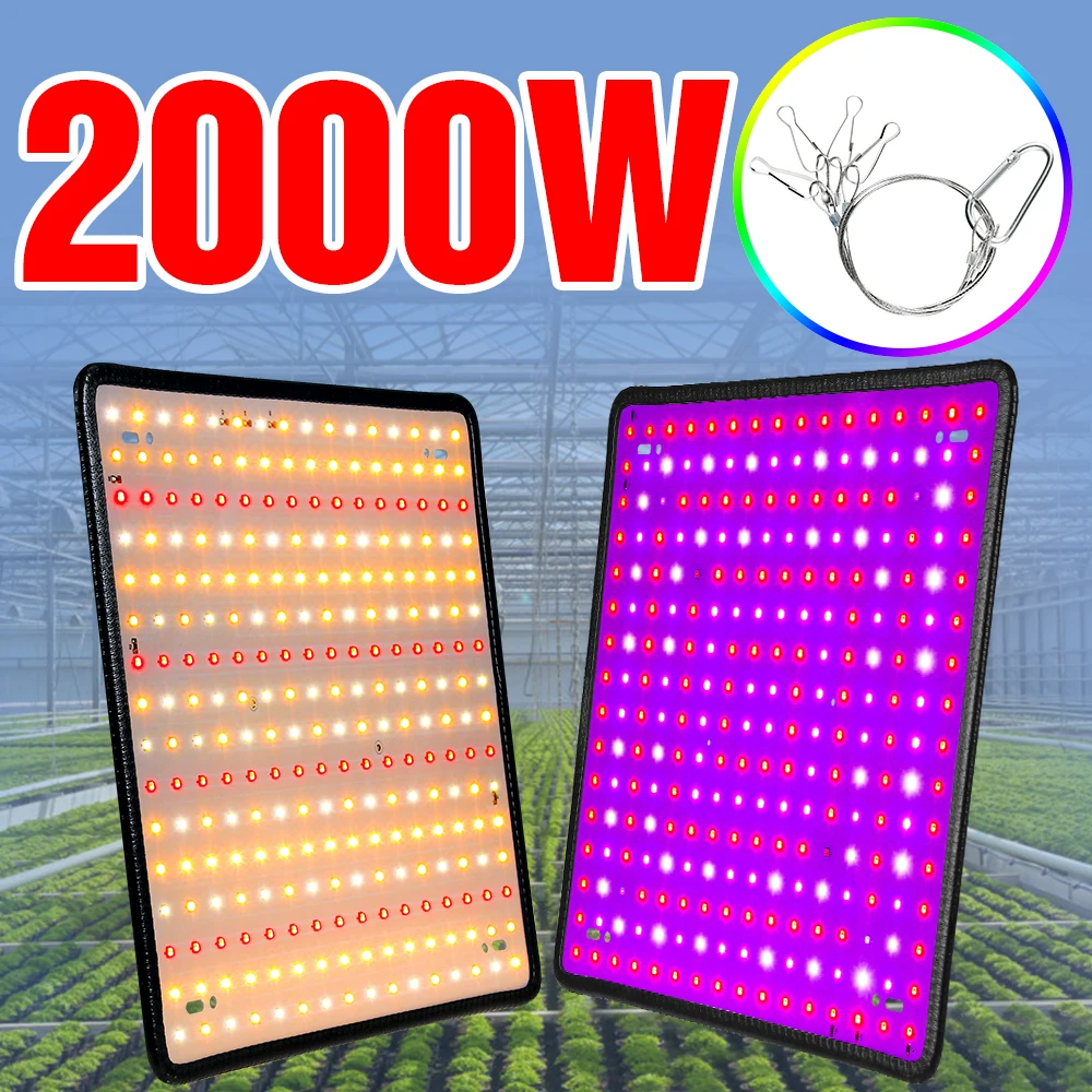 

LED Full Spectrum Light 2000W Grow Light LED Plant Lamp 220V Indoor Growing Lamp Phyto Flower Seed LED Greenhouse Lighting 110V